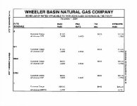 WBNG Natural Gas Rate Sheet Thumbnail.