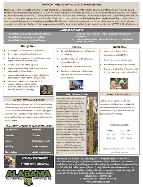 Natural Gas Safety Information Flyer in English.